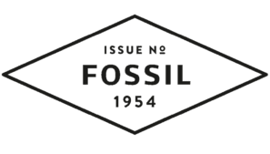 Colección Fossil Hybrid